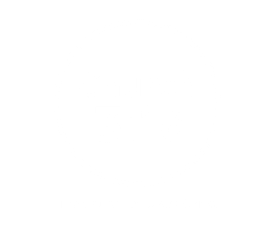 Site Logo for Website